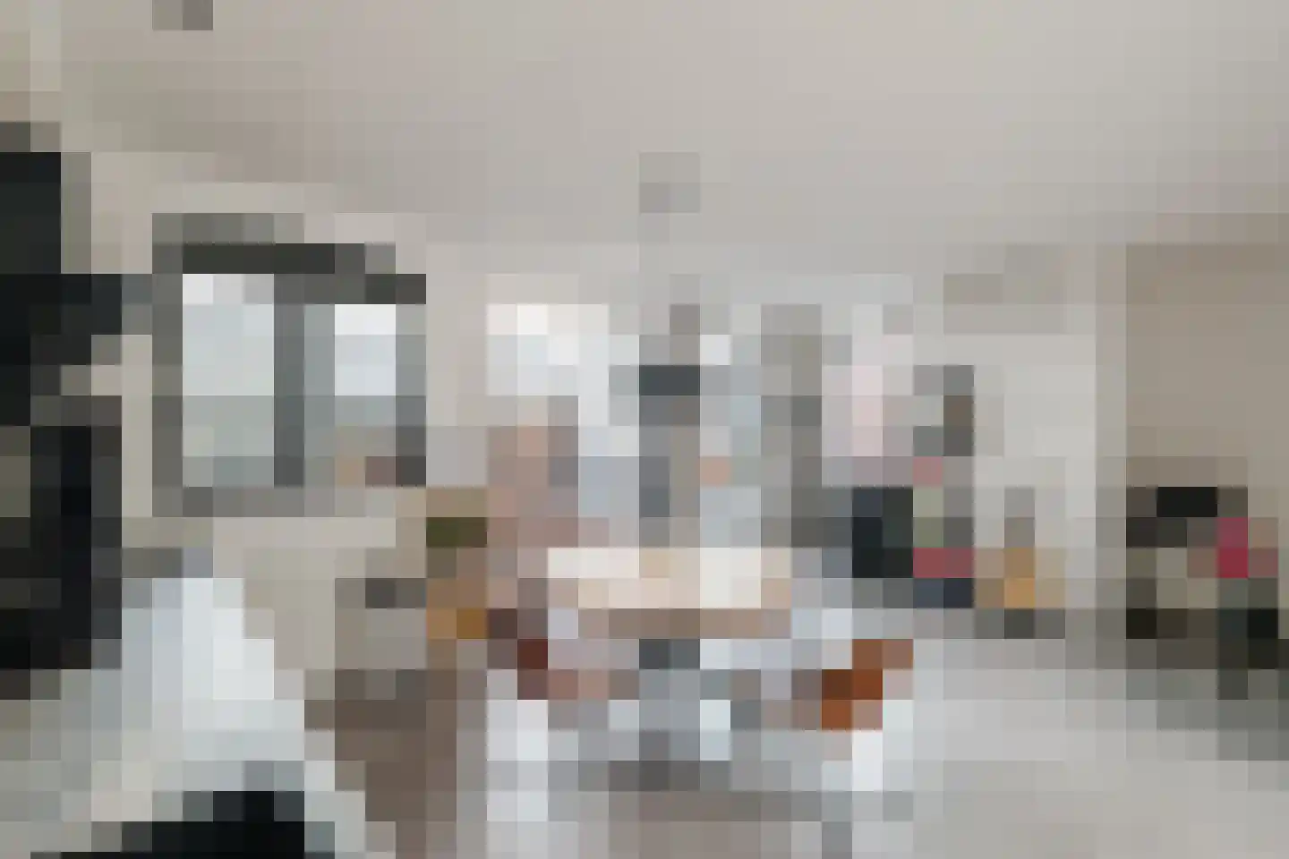 Pasakker 44 Someren thumbnail 33