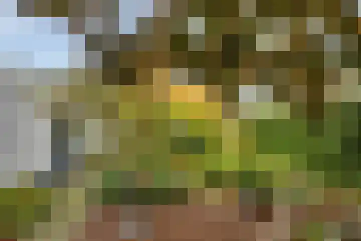 Pasakker 44 Someren thumbnail 35