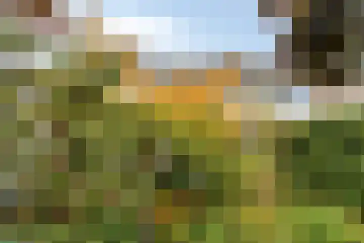 Pasakker 44 Someren thumbnail 36