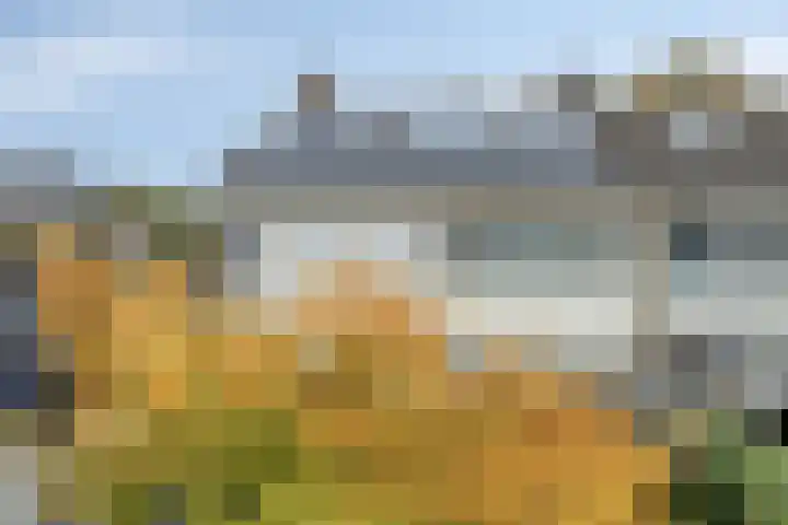 Pasakker 44 Someren thumbnail 38