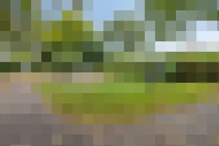 Pasakker 44 Someren thumbnail 39