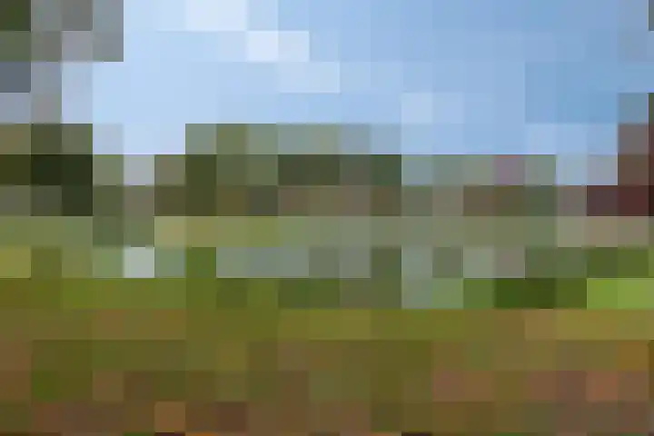 Pasakker 44 Someren thumbnail 40