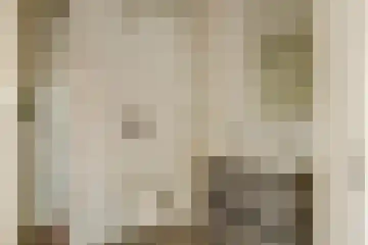Pasbree 106 Winterswijk thumbnail 4