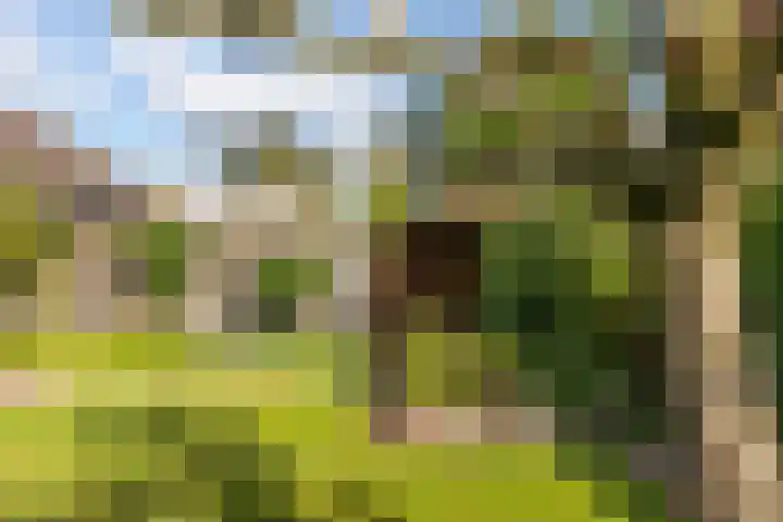 Pasbree 74 Winterswijk thumbnail 39