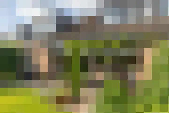 Pasbree 74 Winterswijk thumbnail 42