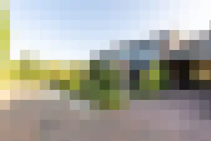 Pasbree 74 Winterswijk thumbnail 48