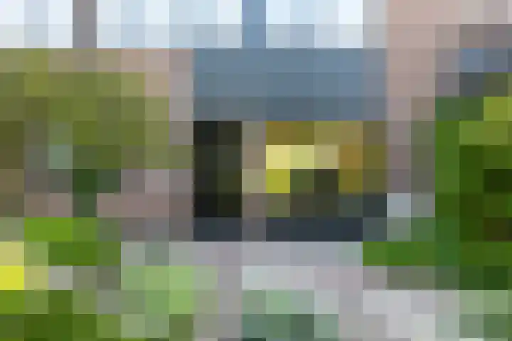 Pasbree 74 Winterswijk thumbnail 5