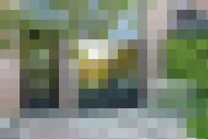 Pasbree 74 Winterswijk thumbnail 7