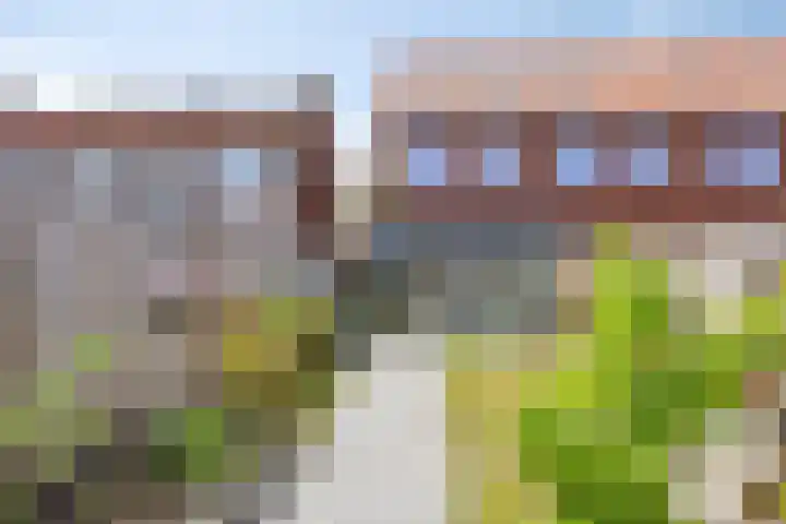 Pascalerf 32 Tilburg thumbnail 12