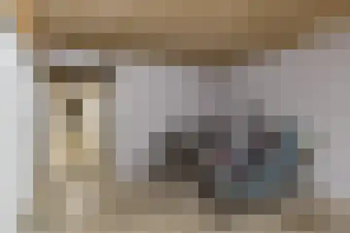 Pascalerf 32 Tilburg thumbnail 17