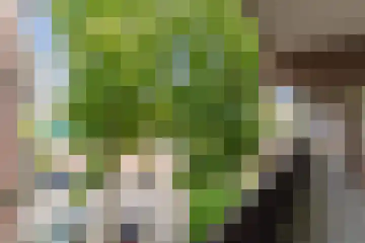 Pascalerf 32 Tilburg thumbnail 19