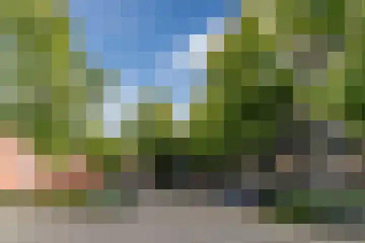 Pascalerf 32 Tilburg thumbnail 22