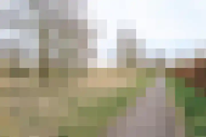 Pascalerf 32 Tilburg thumbnail 26