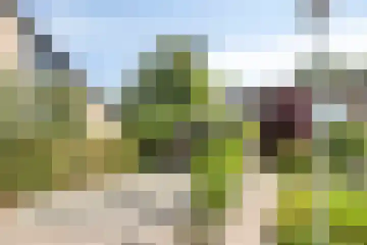 Pascalerf 42 Tilburg