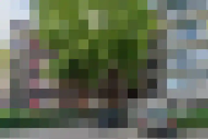 Pascalerf 42 Tilburg thumbnail 17