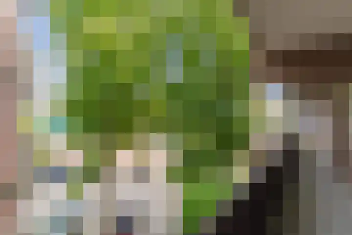 Pascalerf 58 Tilburg thumbnail 14