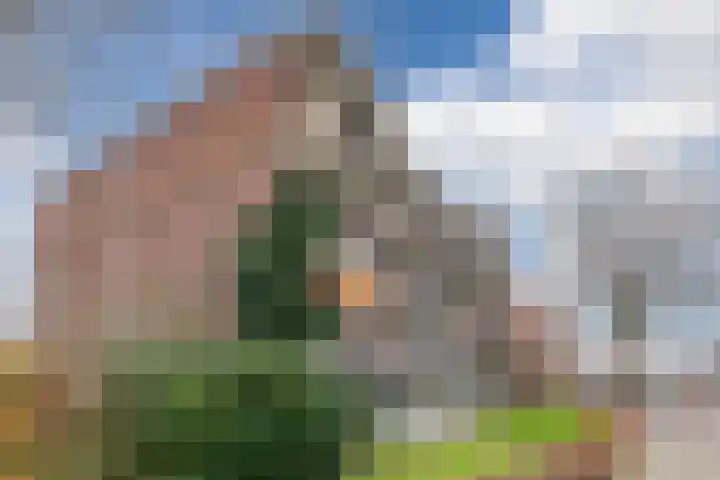 Pascalerf 58 Tilburg thumbnail 24