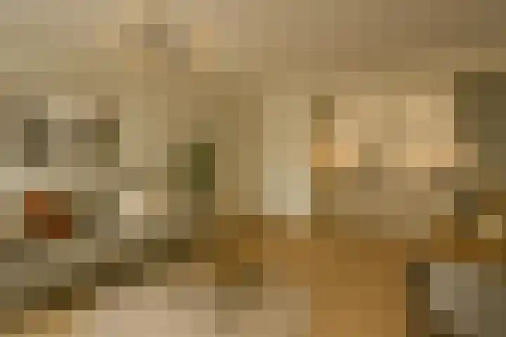 Pascalerf 58 Tilburg thumbnail 6