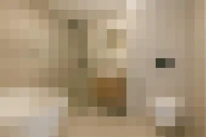 Pascalerf 58 Tilburg thumbnail 8