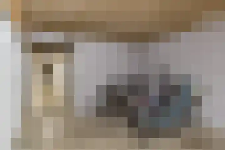 Pascalerf 68 Tilburg thumbnail 15