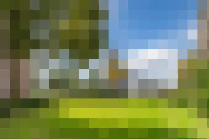 Pascalerf 68 Tilburg thumbnail 18