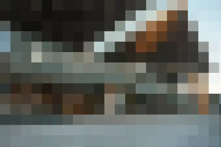 Pascalerf 68 Tilburg thumbnail 21