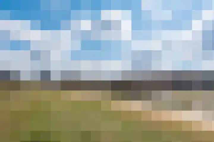 Pascalerf 68 Tilburg thumbnail 23