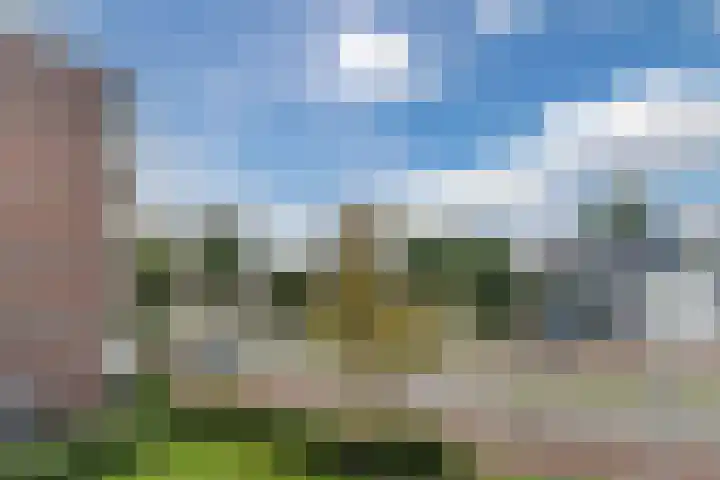 Pascalerf 78 Tilburg thumbnail 13