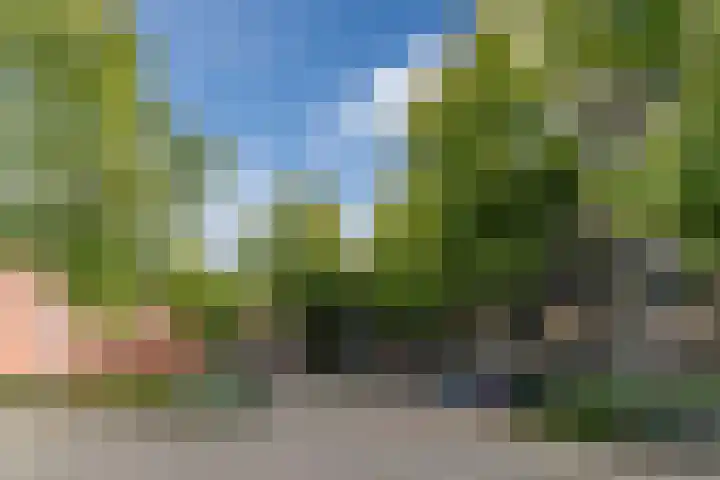 Pascalerf 78 Tilburg thumbnail 17