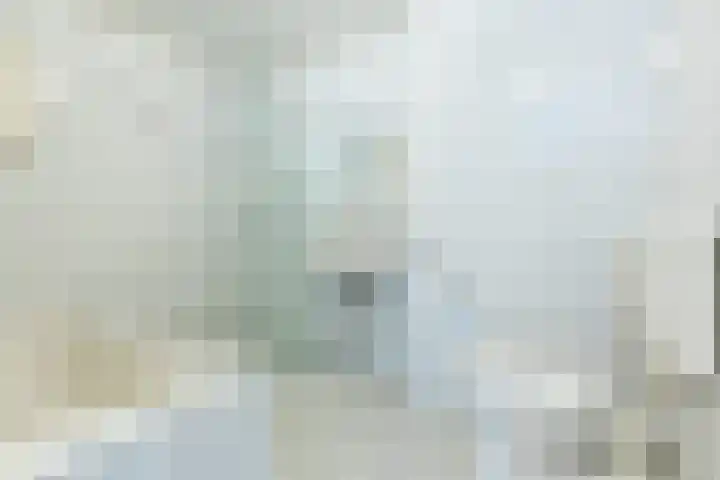 Pascalerf 78 Tilburg thumbnail 8