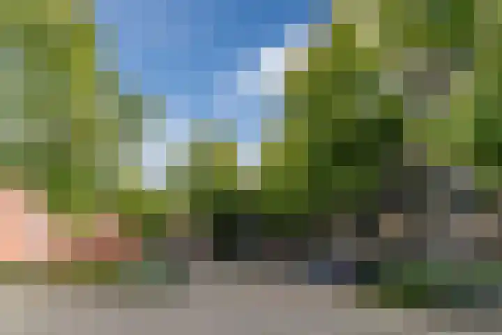 Pascalerf 96 Tilburg thumbnail 13