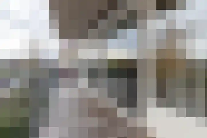 Pascalerf 96 Tilburg thumbnail 14