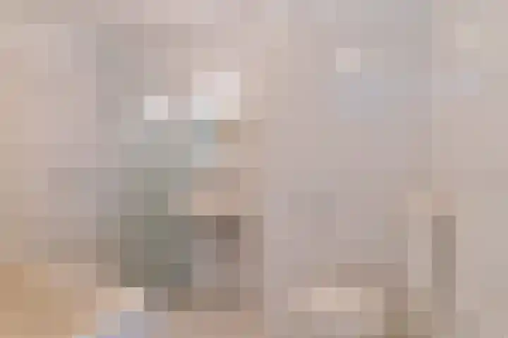 Pascalerf 96 Tilburg thumbnail 5