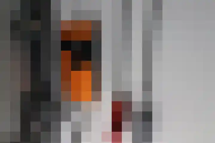 Pascallaan 24 E Lelystad thumbnail 6