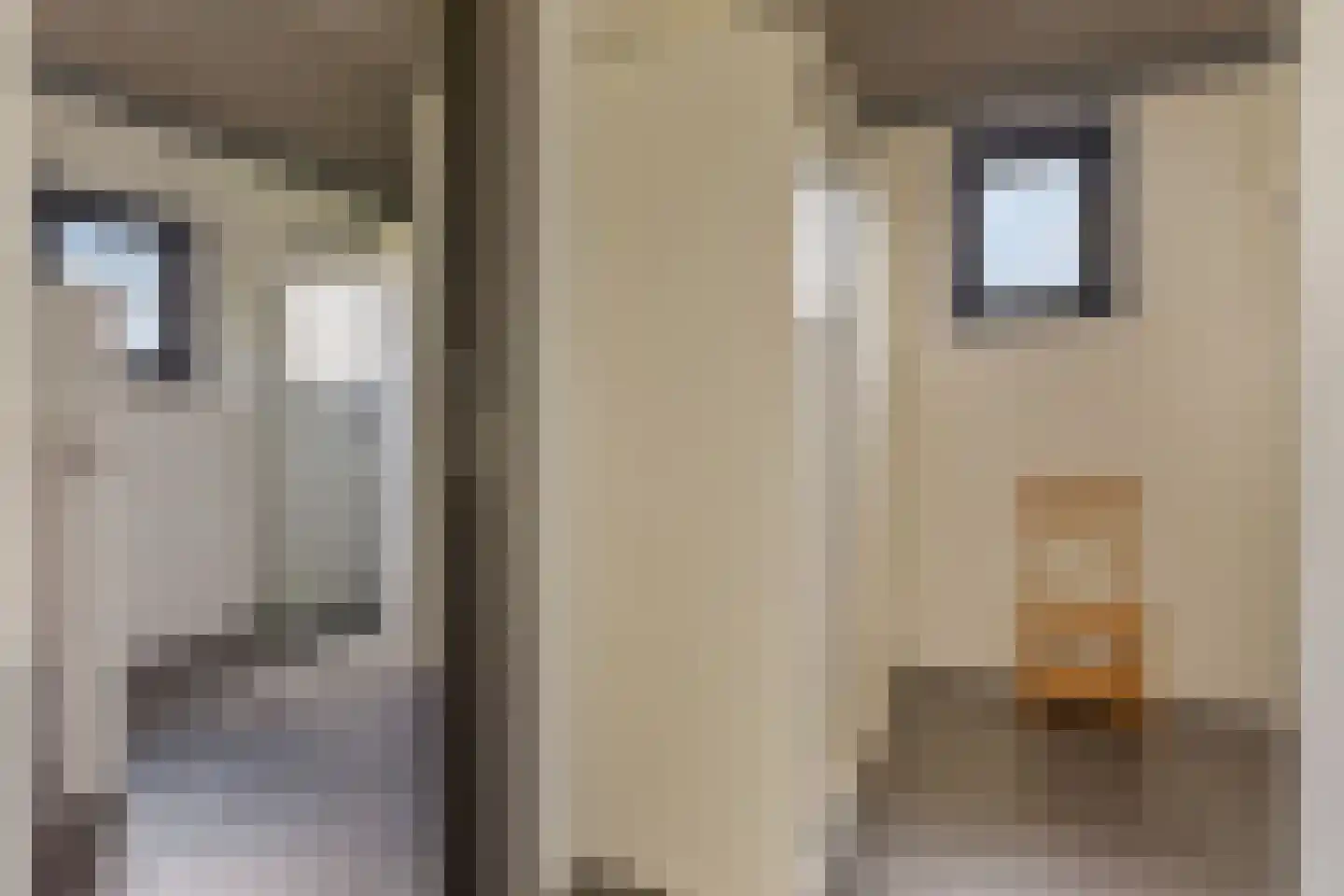 Pasdam 17 Sluis thumbnail 10