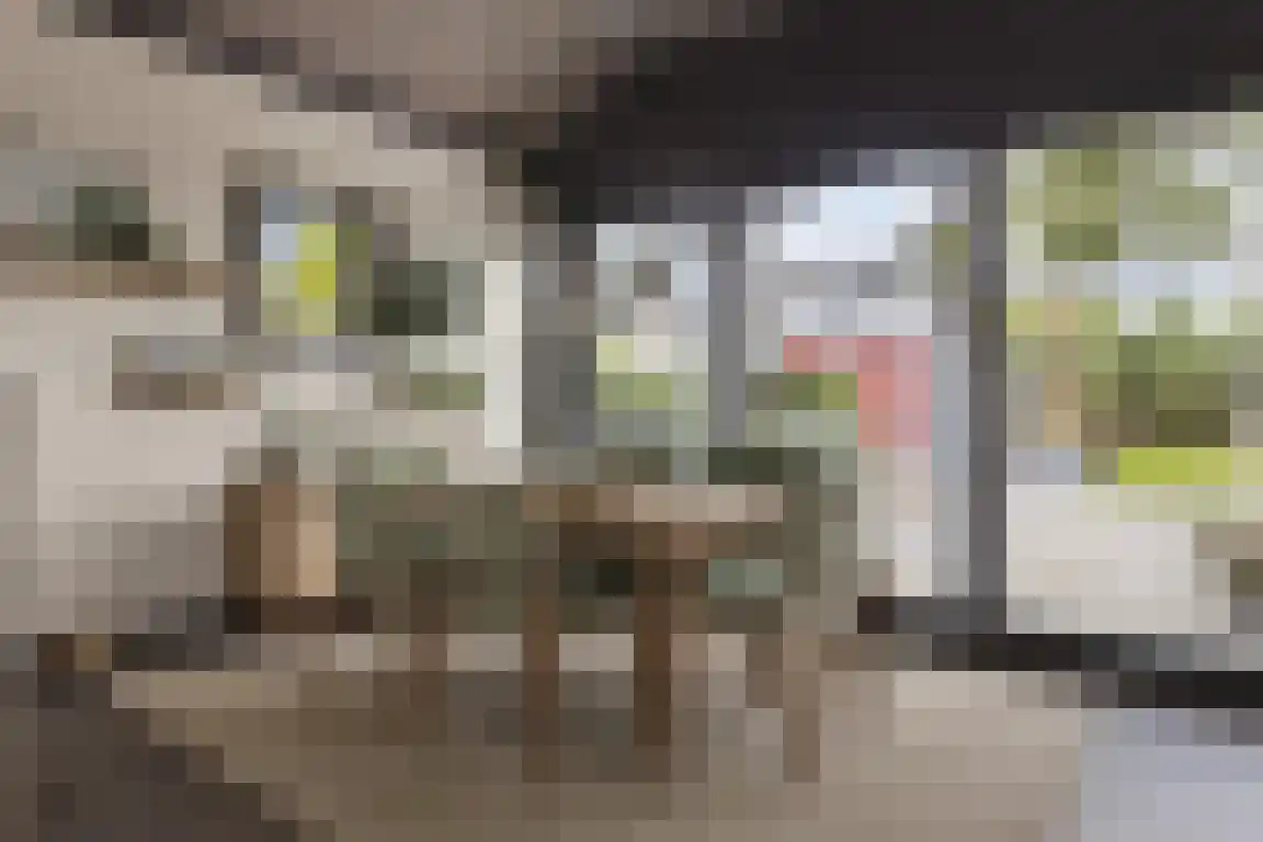 Pasdam 17 Sluis thumbnail 15