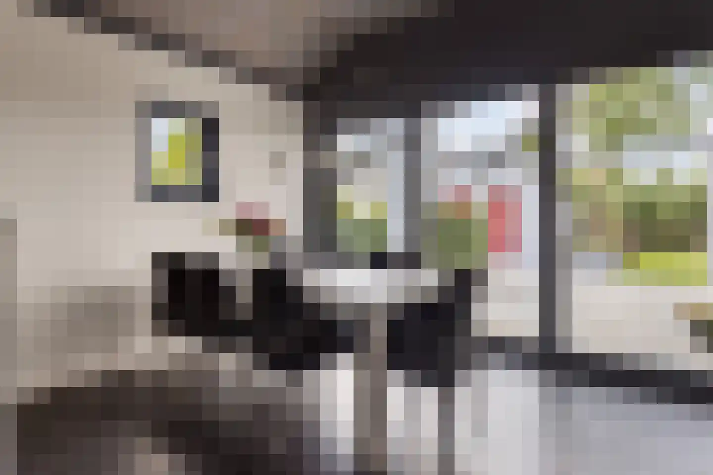 Pasdam 17 Sluis thumbnail 16