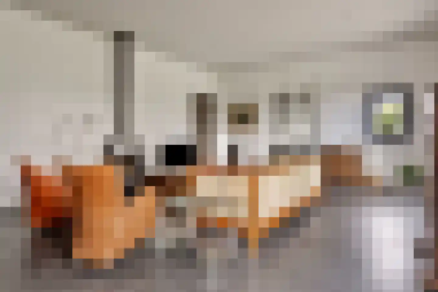 Pasdam 17 Sluis thumbnail 17