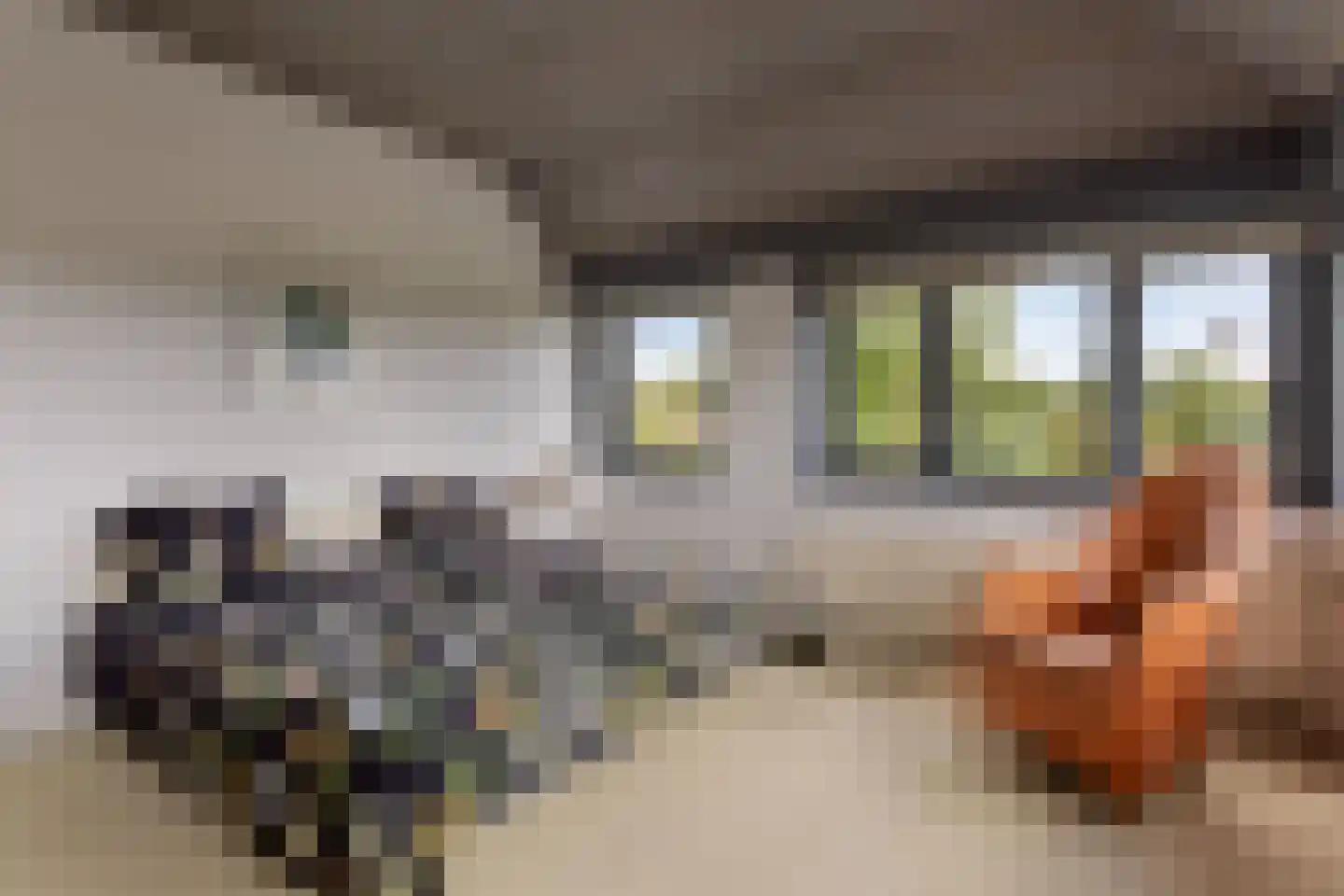 Pasdam 17 Sluis thumbnail 27