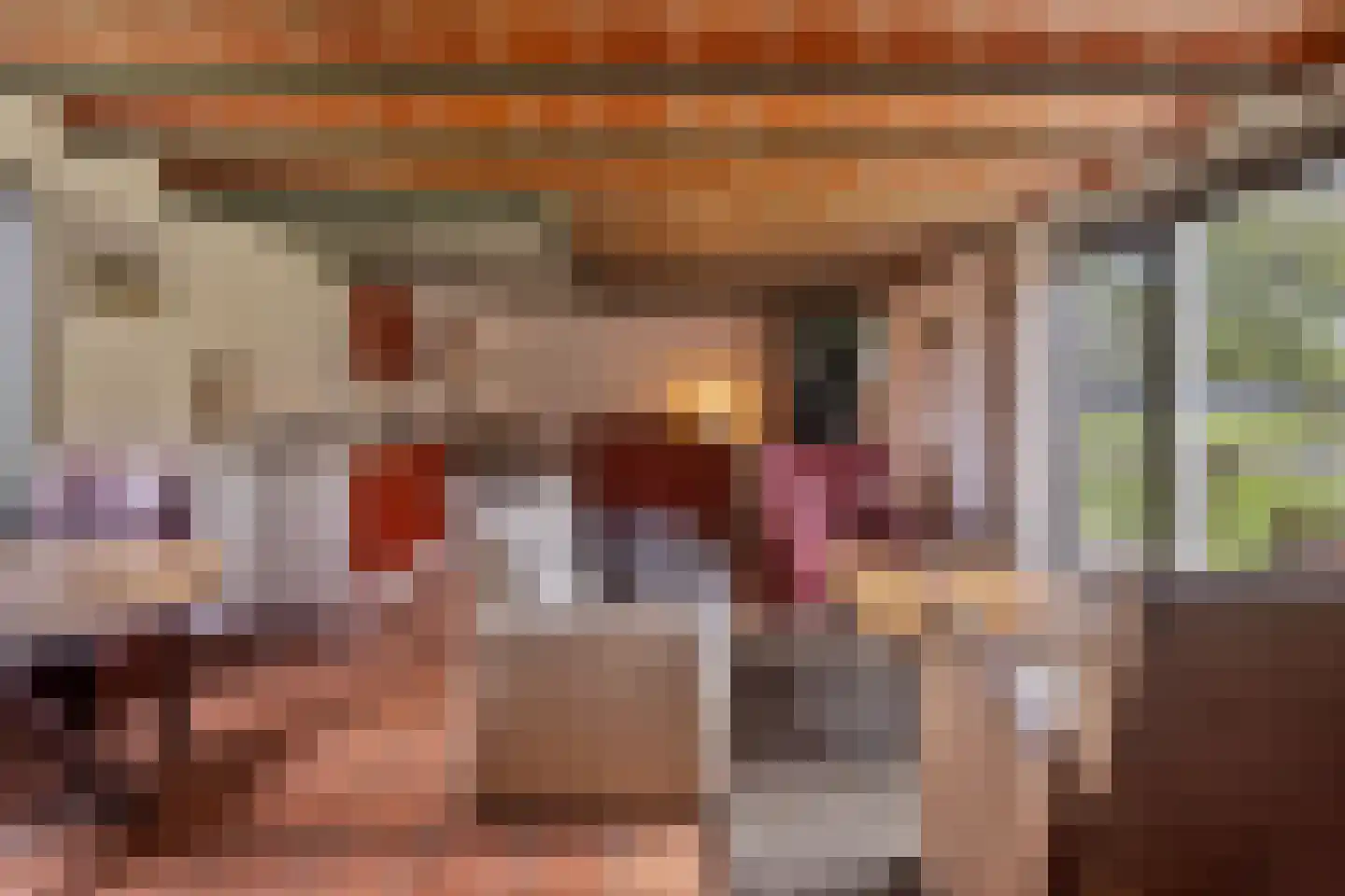 Pasdam 17 Sluis thumbnail 36