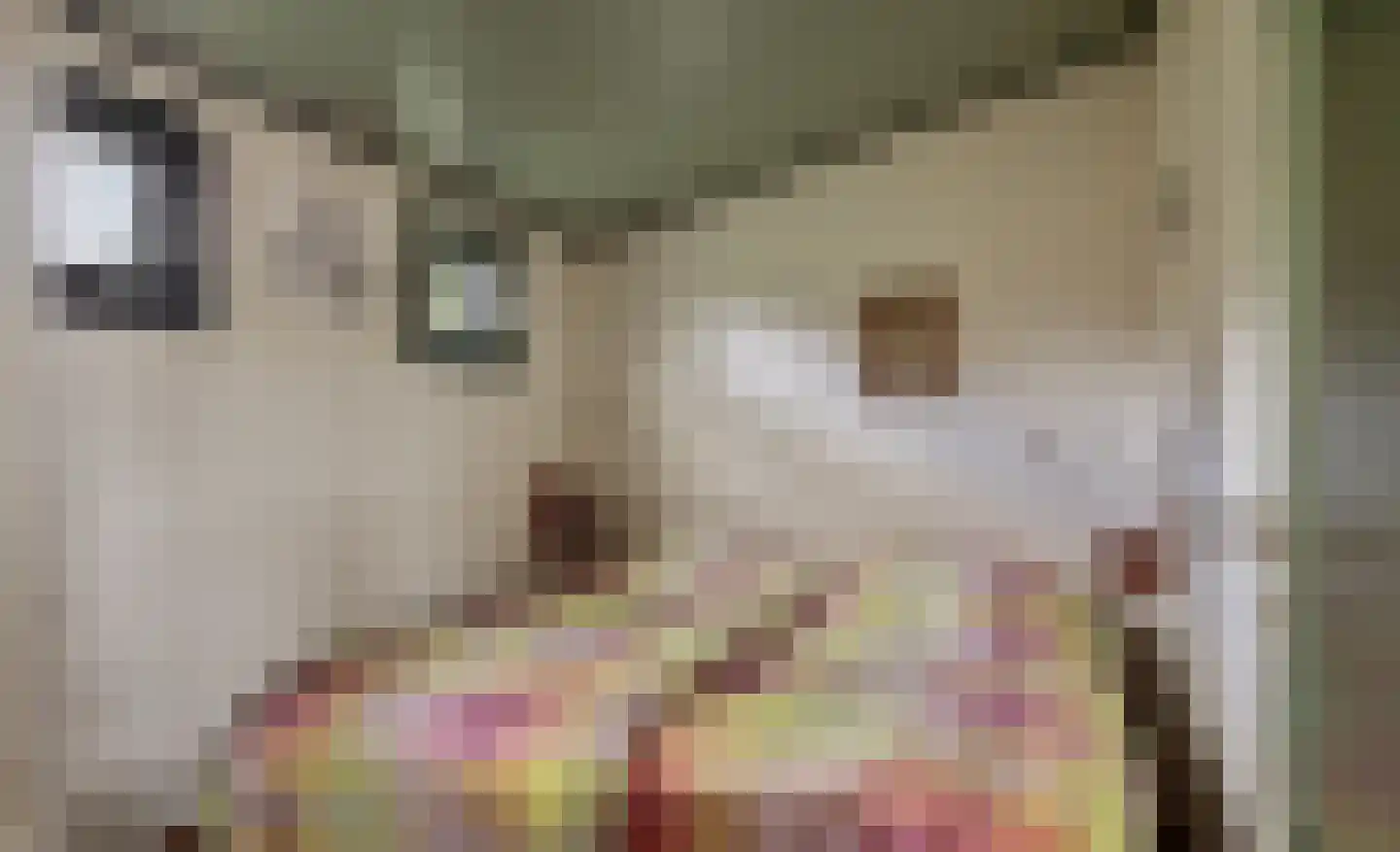 Pasdam 17 Sluis thumbnail 37