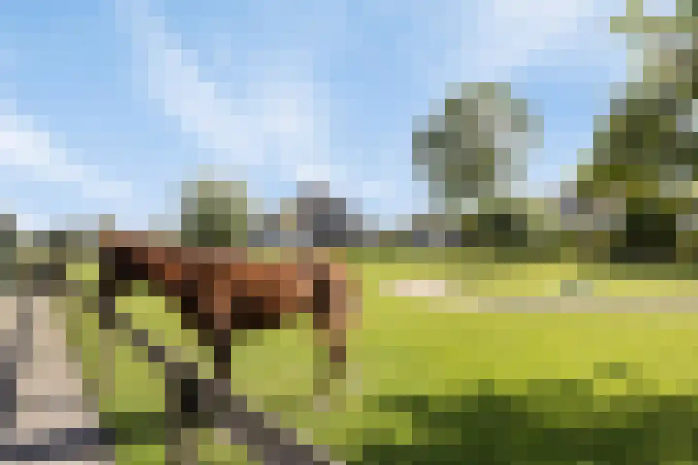 Pasdam 17 Sluis thumbnail 40