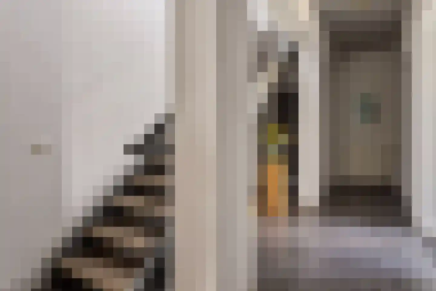 Pasdam 17 Sluis thumbnail 5
