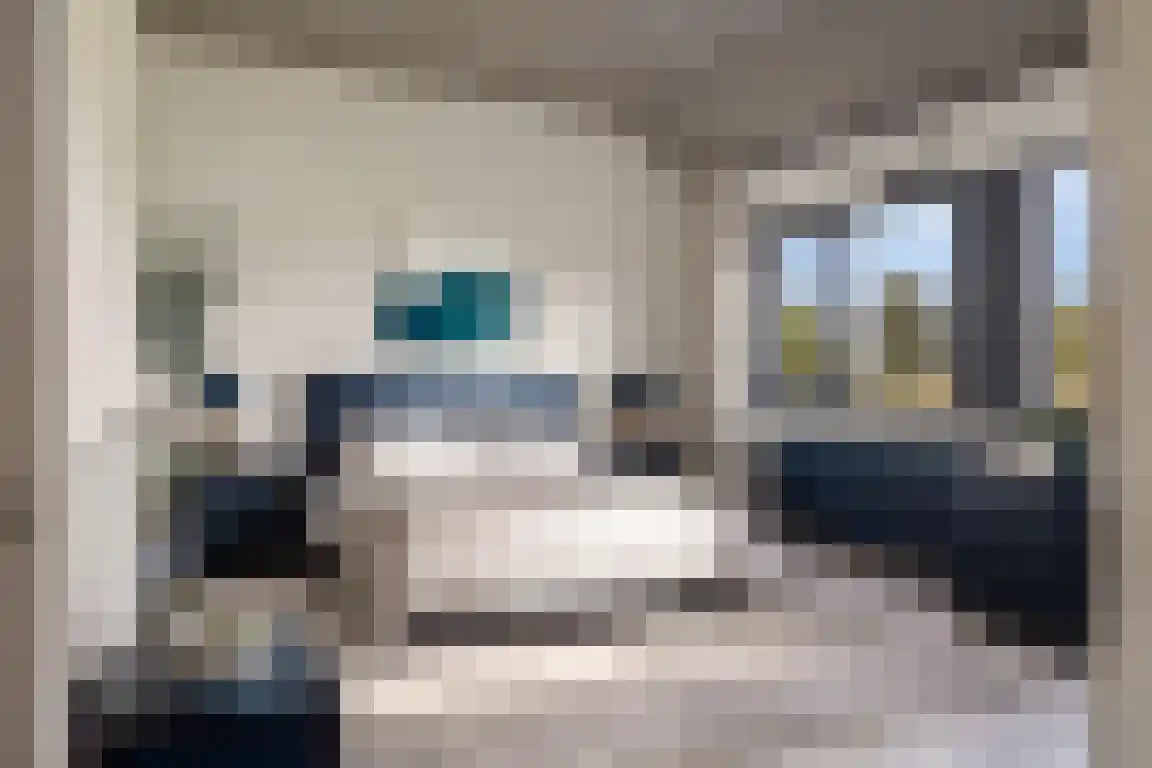 Pasdam 17 Sluis thumbnail 6