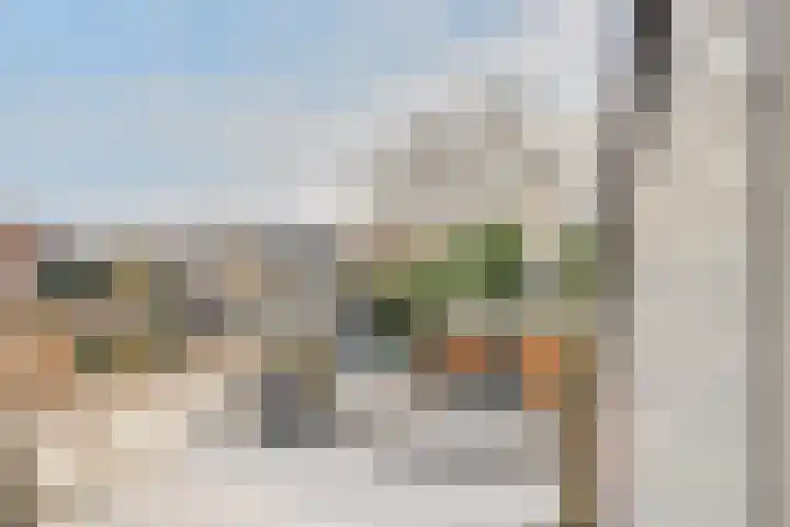 Pashegge 25 Winterswijk thumbnail 32
