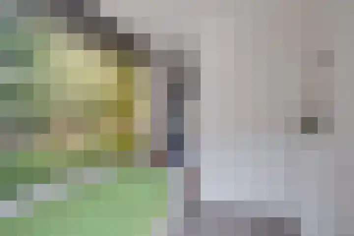 Pasmanshaard 25 Ruurlo thumbnail 21