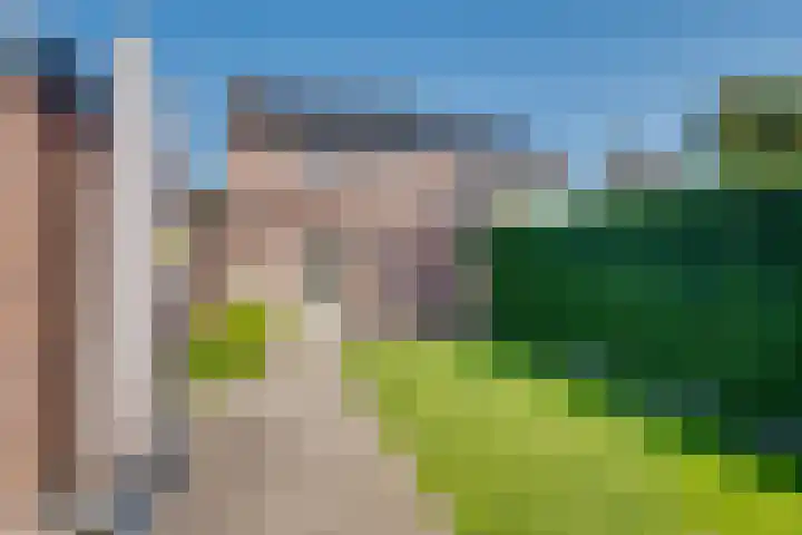 Pasmanshaard 25 Ruurlo thumbnail 26