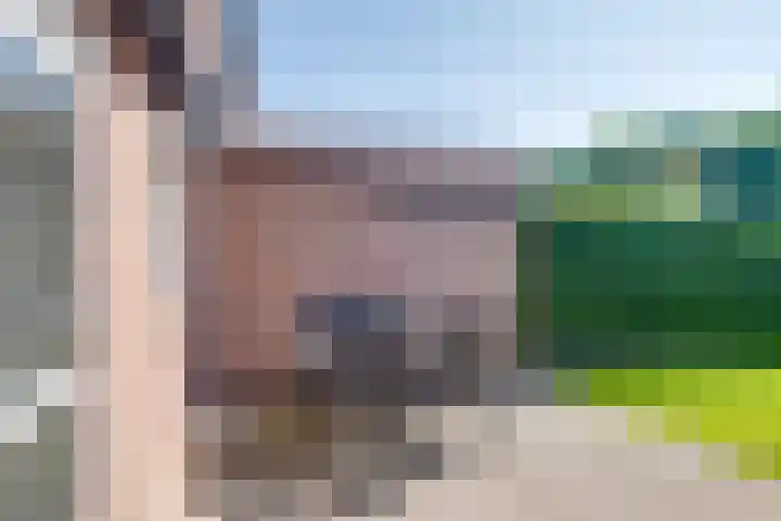 Pasmanshaard 25 Ruurlo thumbnail 28