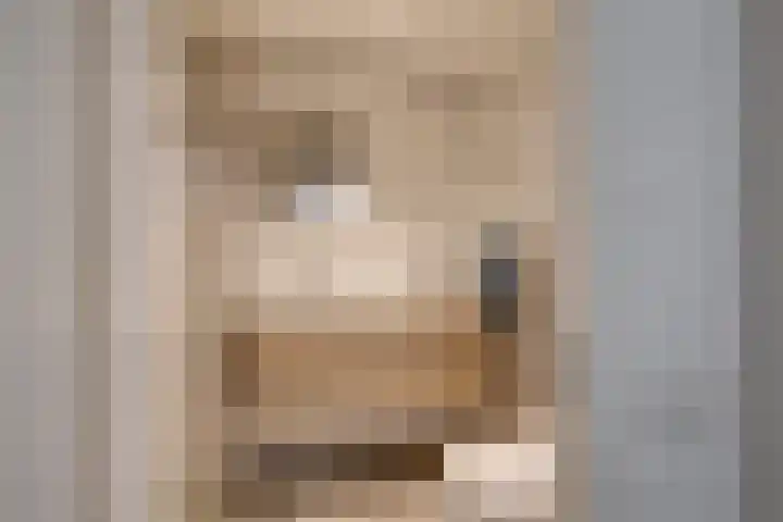Pasmanshaard 25 Ruurlo thumbnail 5