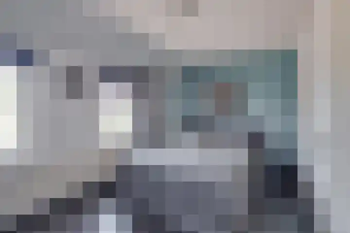 Pasmanshaard 25 Ruurlo thumbnail 6